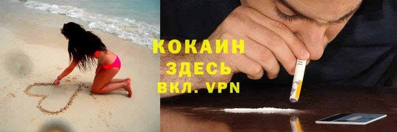 Cocaine Перу  купить закладку  Камызяк 